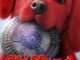 Película Clifford, el gran perro rojo (2021)