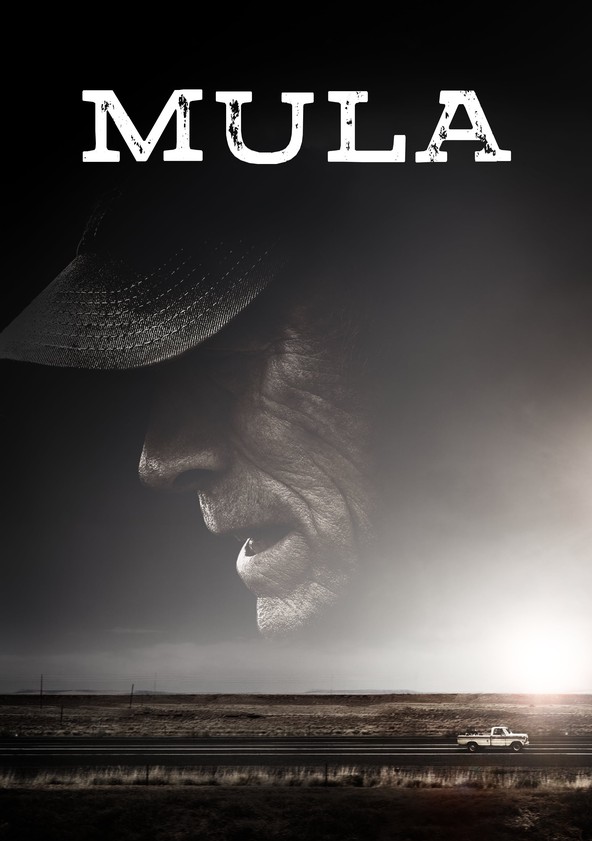 Información varia sobre la película Mula