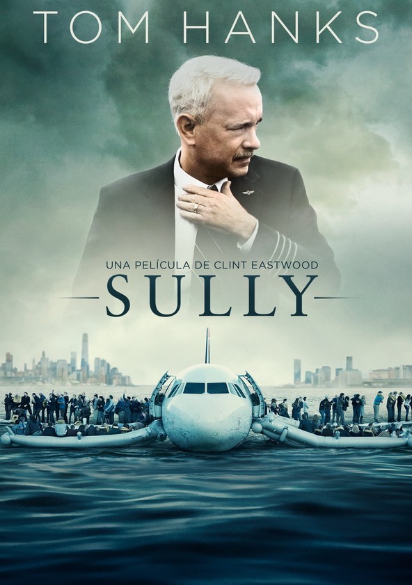 Información variada de la película Sully