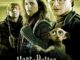 Película Harry Potter y las Reliquias de la Muerte - Parte 1 (2010)