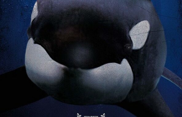 Película Blackfish (2013)