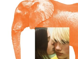 Película Elephant (2003)