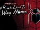Película Spider-Man: All Roads Lead to No Way Home (2022)