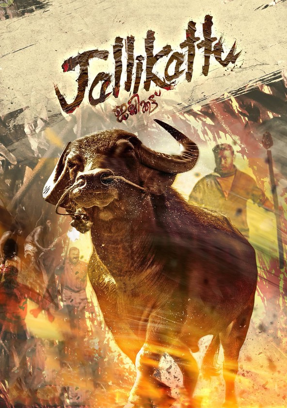 Información varia sobre la película Jallikattu